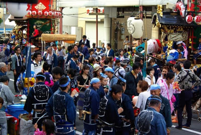 Tksk  241  kbcenc - Eugenol