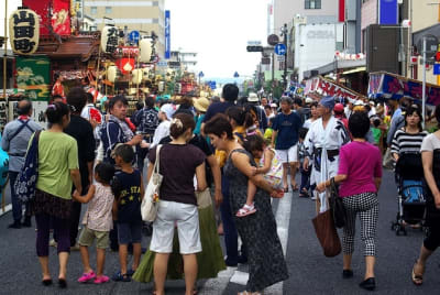 Tksk  66  n8mfhp - Eugenol