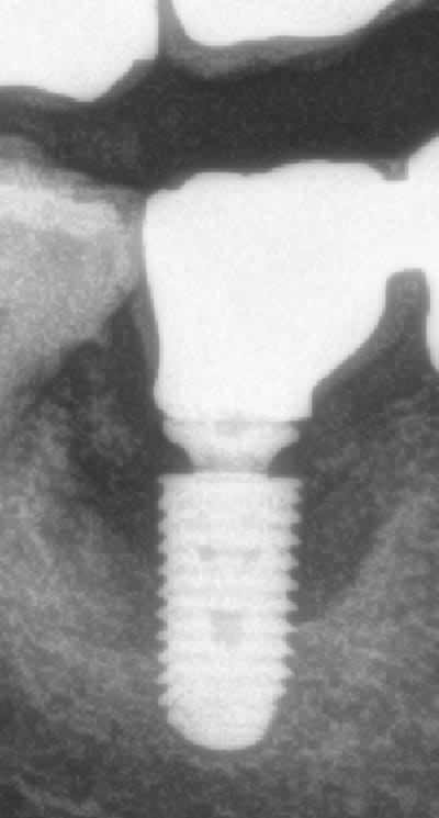Vfebcklhnvir2nwft0io7lcw9wqm - Eugenol