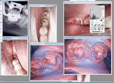 Vlra6koa43fof7pmvffe - Eugenol