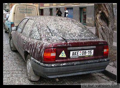 Voiture amib umabct - Eugenol