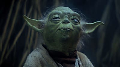 Yoda advice featured 1 avd9q5 - Eugenol