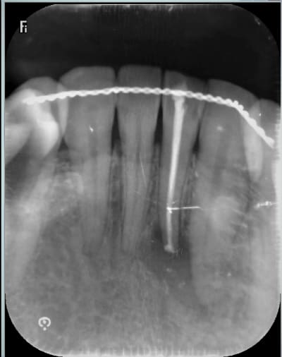 Yolmmgn3awkihsv4clmc - Eugenol