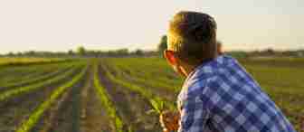 A young boy wearing a blue and white checkered shirt crouches at the edge of a field of sprouting crops. He holds a small plant and gazes toward the horizon, where the sun casts a warm glow over the farmland.