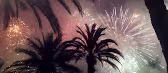 Silhouettes of palm trees at night against a backdrop of colorful fireworks illuminating the sky. The fireworks create vibrant bursts of light and color, with hues of red, purple, and green visible among the smoke and haze.