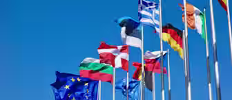 Multiple national flags and the European Union flag are shown against a clear blue sky, all flying on flagpoles. The arrangement highlights various European countries, showcasing unity and diversity within the European Union.