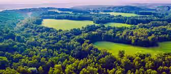 Aerial view of a vast landscape featuring dense green forests interspersed with open grassy fields under a purple-tinged sky. Sun rays peek through the clouds, casting a soft light on the lush scenery. Hills extend towards the horizon.