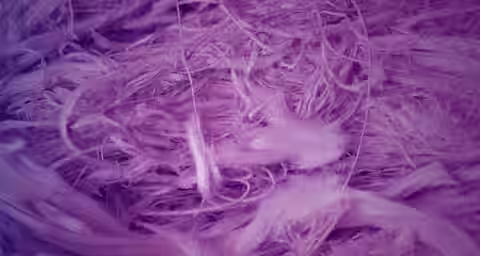 Close-up image of intertwined fibers with a purple hue, resembling a textile or fibrous material. The textures vary from fine strands to thicker, more tangled threads, creating a complex and intricate pattern throughout the image.