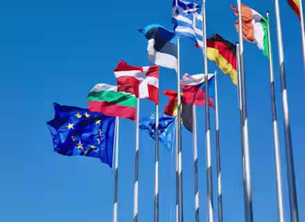 Multiple national flags and the European Union flag are shown against a clear blue sky, all flying on flagpoles. The arrangement highlights various European countries, showcasing unity and diversity within the European Union.