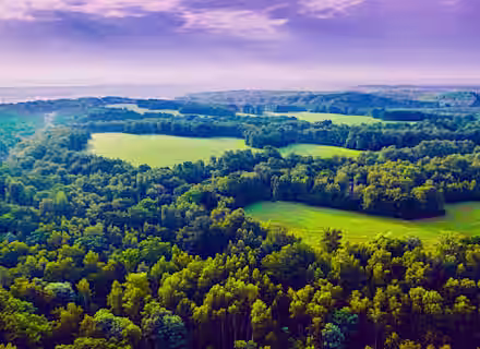 Aerial view of a vast landscape featuring dense green forests interspersed with open grassy fields under a purple-tinged sky. Sun rays peek through the clouds, casting a soft light on the lush scenery. Hills extend towards the horizon.