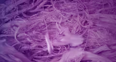 Close-up image of intertwined fibers with a purple hue, resembling a textile or fibrous material. The textures vary from fine strands to thicker, more tangled threads, creating a complex and intricate pattern throughout the image.