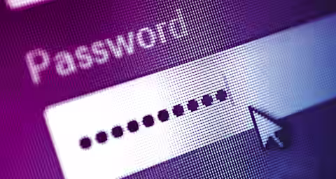 Close-up of a computer screen showing a password input field with the word "Password" at the top. The password input is filled with masked characters represented by black dots, and a cursor in the shape of a white arrow points towards it. The image has a purple hue.