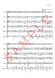 Numero Cinco - Flex 5 (PDF)