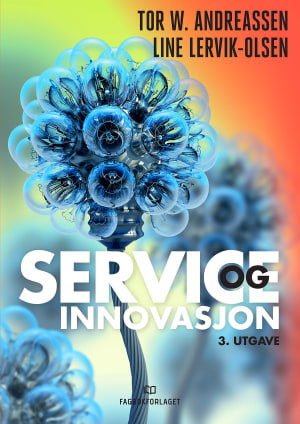 Service og innovasjon, e-bok