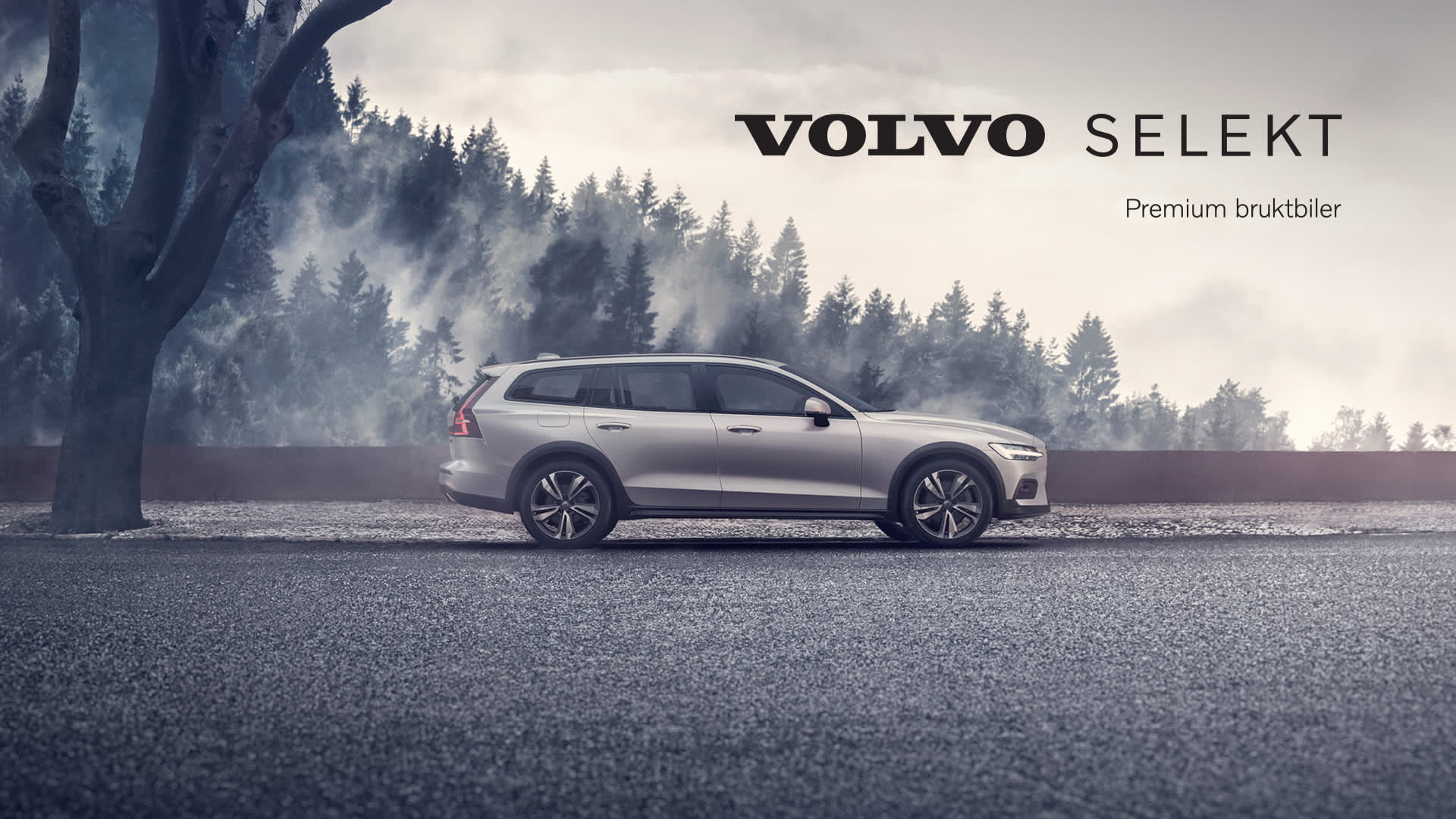 Volvo V60 parkert foran disig skog. Frydenbø Bilsenter