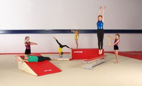 group of gymnasts