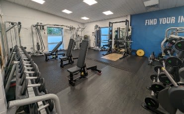 Free weights