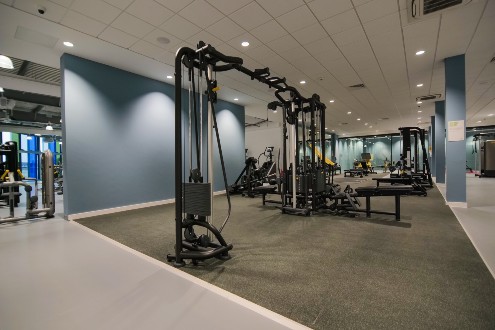 gym gym