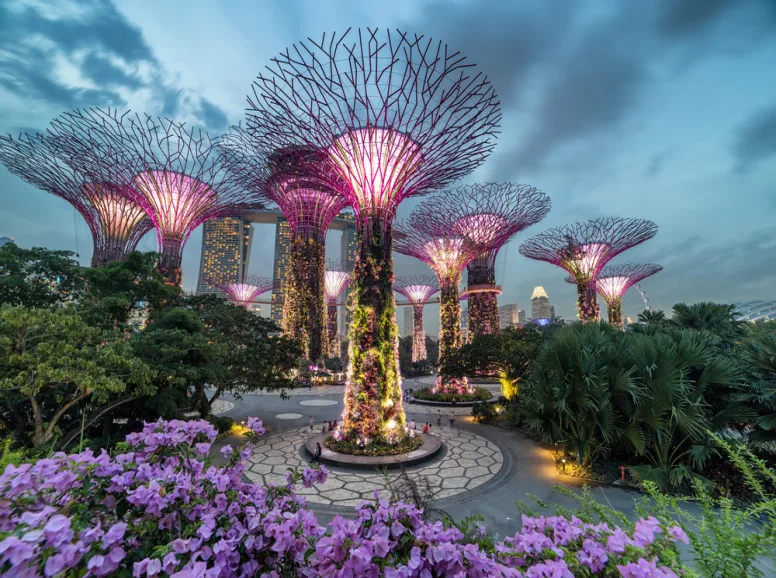 Gardens By the Bay at Night Singapore