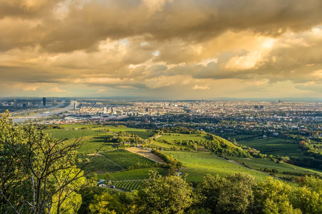 Kahlenberg Hike