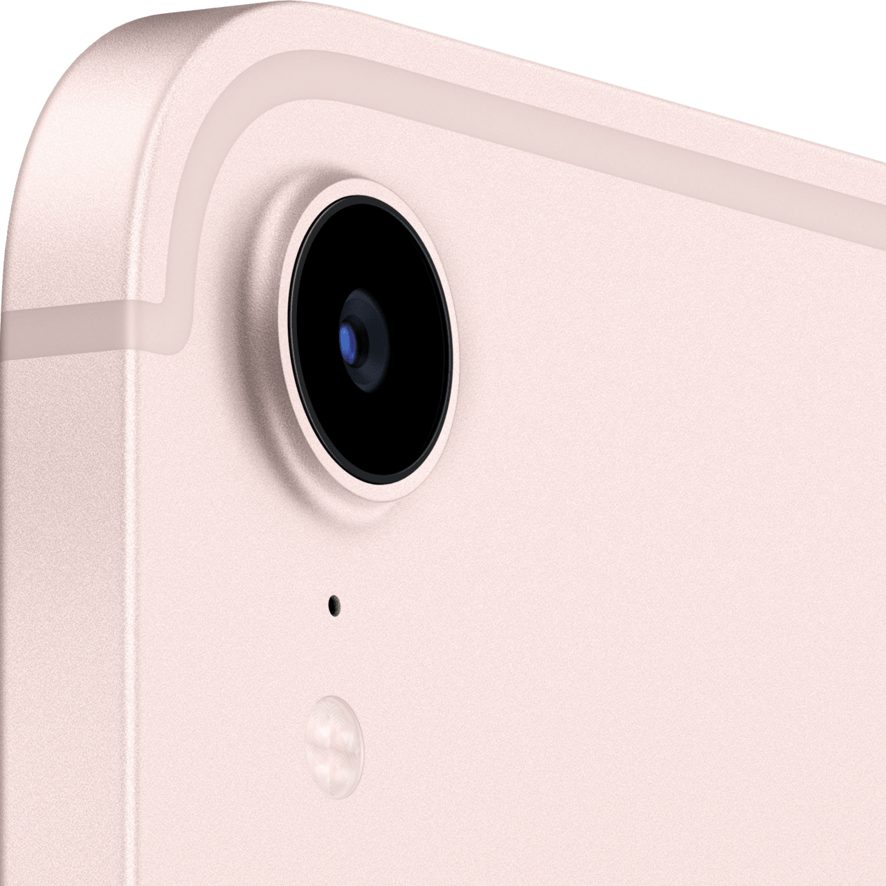 Pink Apple iPad mini (2021) - WiFi - iOS 15 - 256GB.4