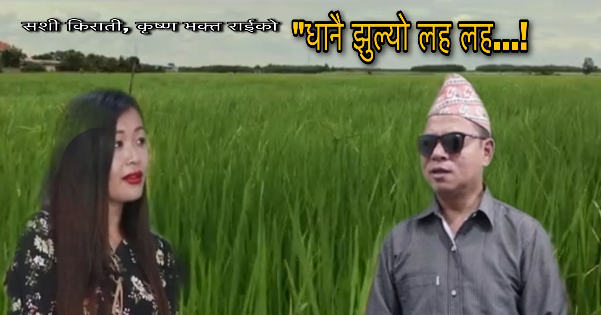 सशी किरातीको “धानै झुल्यो लह लह...! म्युजिक भिडियो सार्वजनिक (भिडियो सहित)