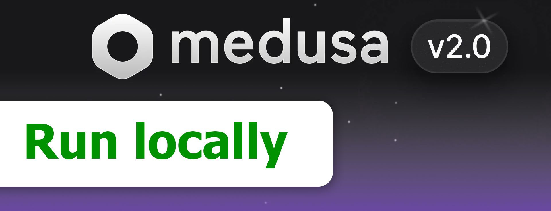 How to run the MedusaJS boilerplate locally