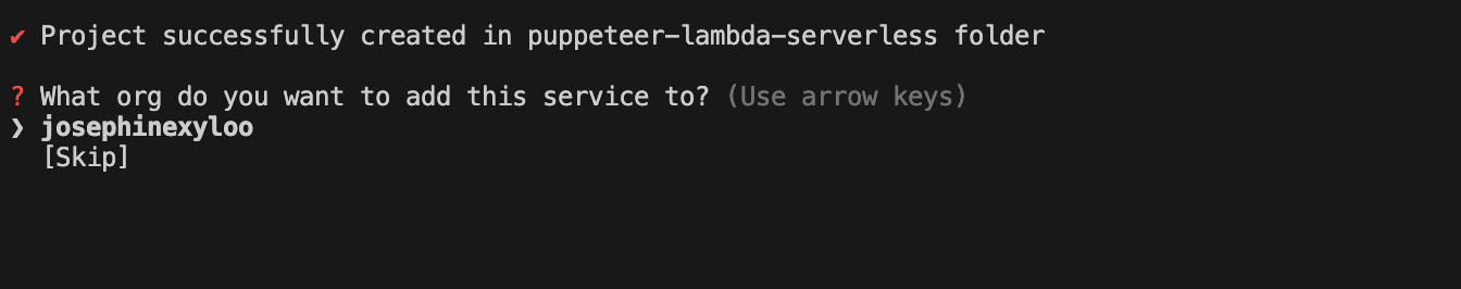 Serverless CLI - adding the name to an organization.png