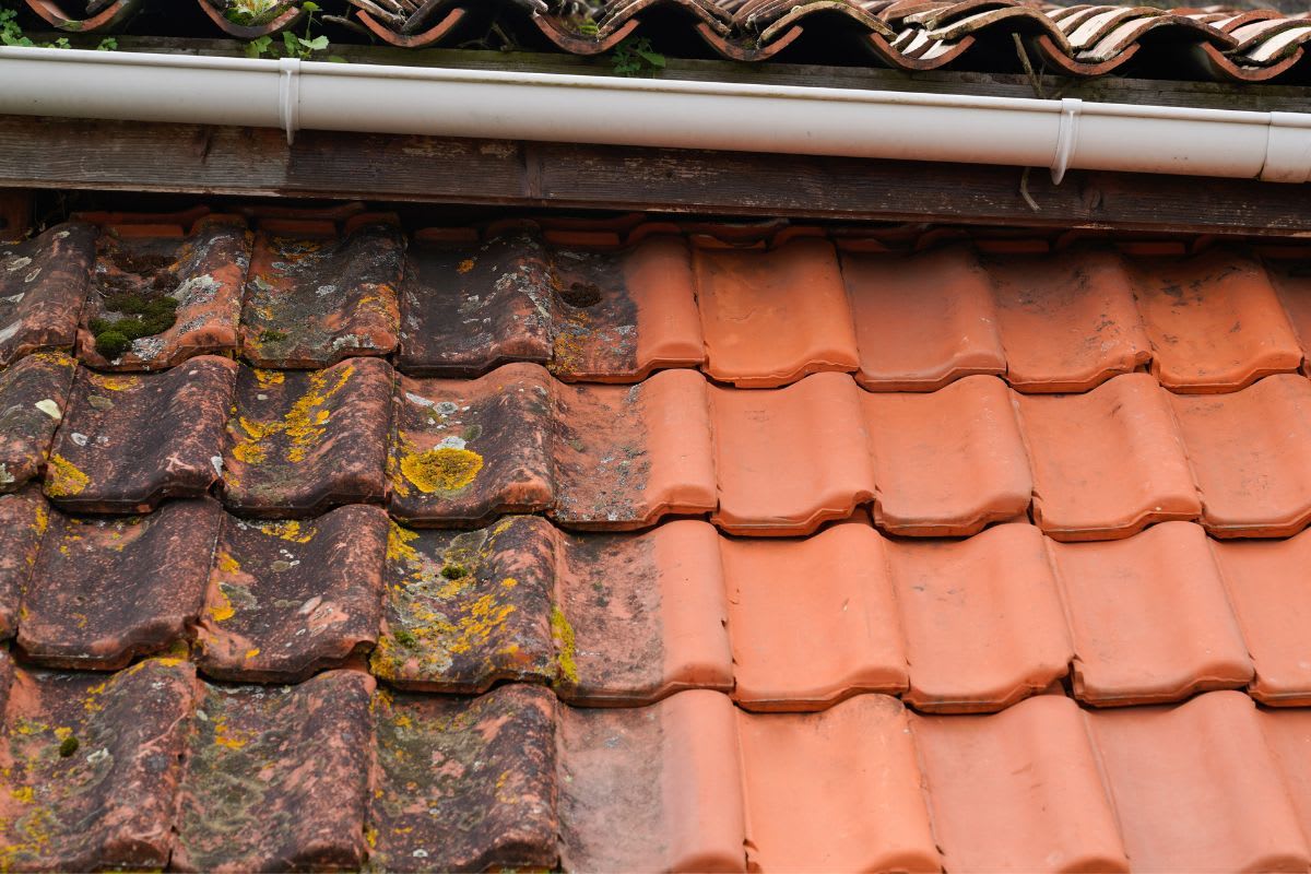 Dachreinigung: Tipps und Tricks wie du Dach und Dachziegel richtig reinigst