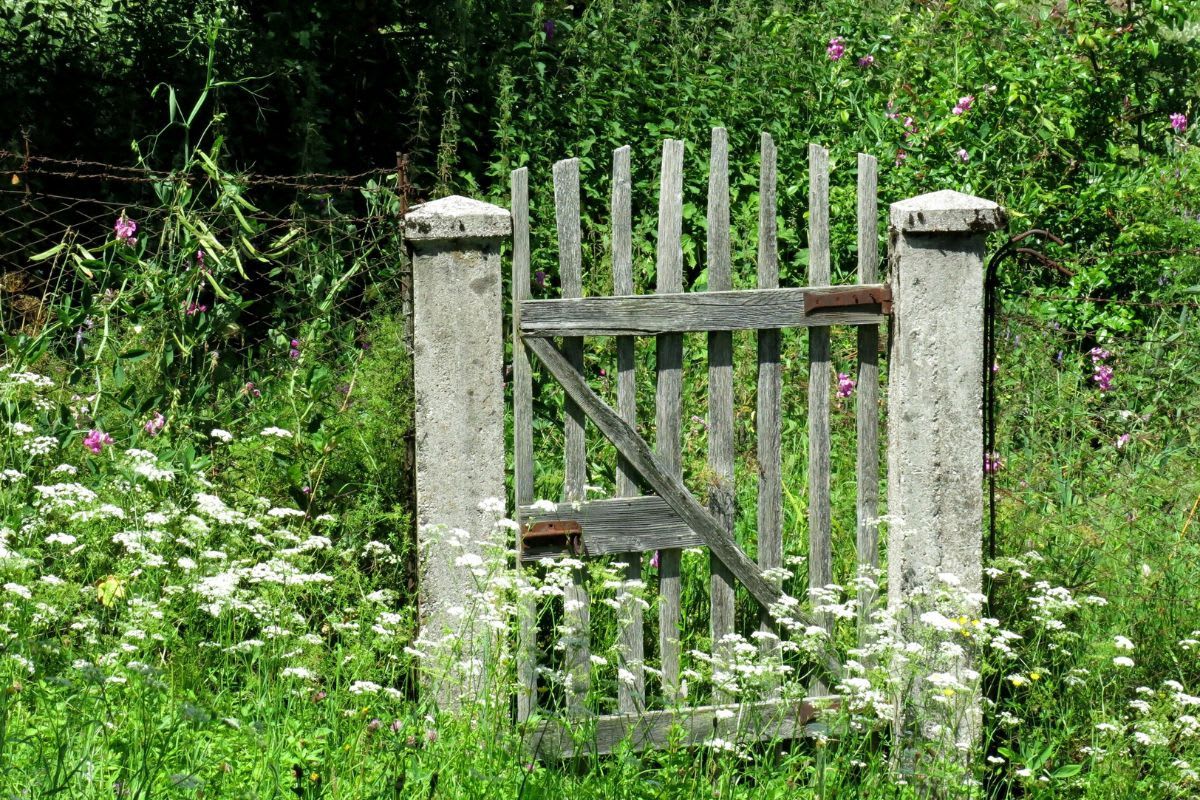 Gartentor selber bauen: So zimmerst du dir mit einfachem Holz ein Tor für deine Gartenpforte