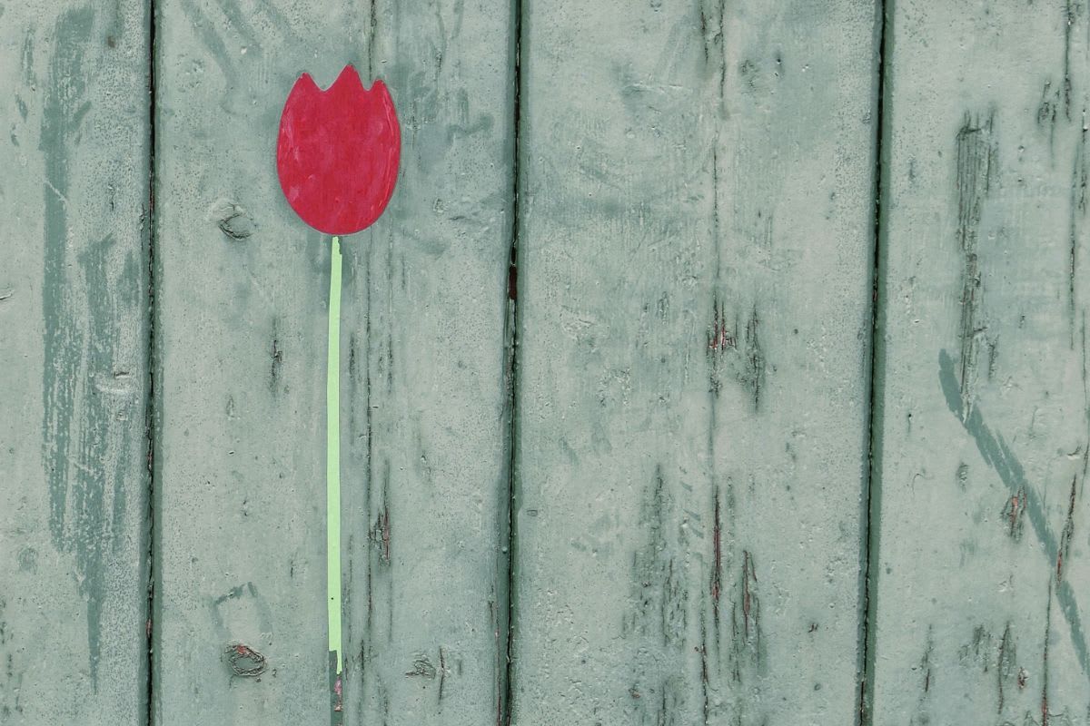 Einzeln bemaltes, rotes Tulpenmotiv auf grauen Brettern eines Gartentores, das Kreativität und persönlichen Ausdruck verkörpert.
