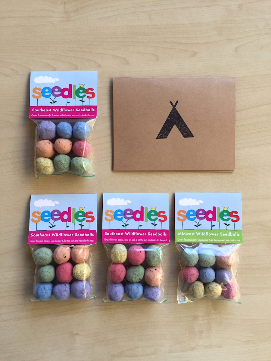An Interview with Seedles' Co-Founder Chris Burley