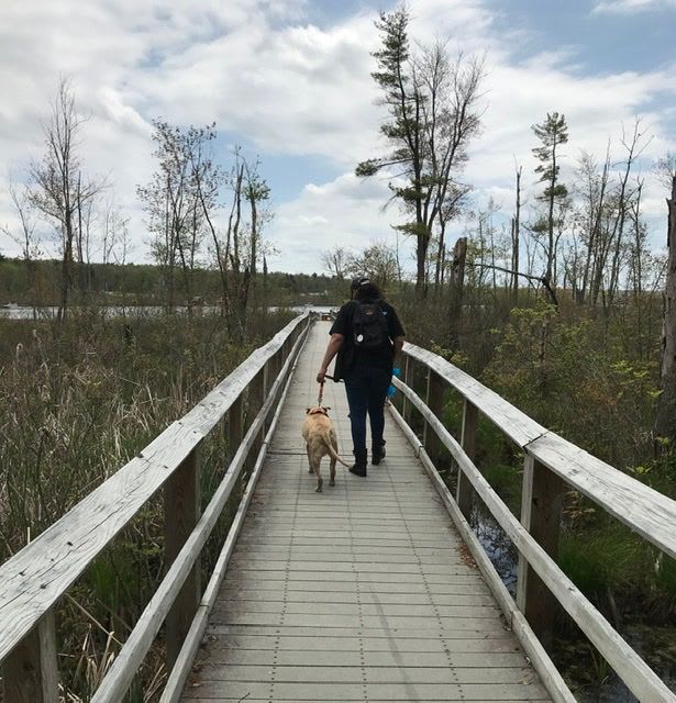 End of Life Walk