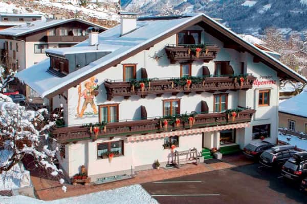 Alpenrose