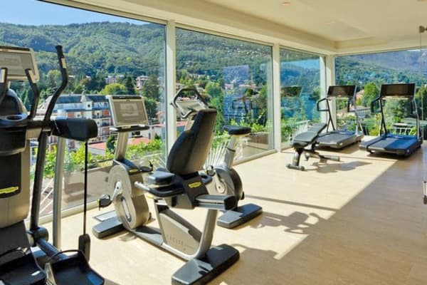 Hotel La Palma, Stresa, Lake Maggiore