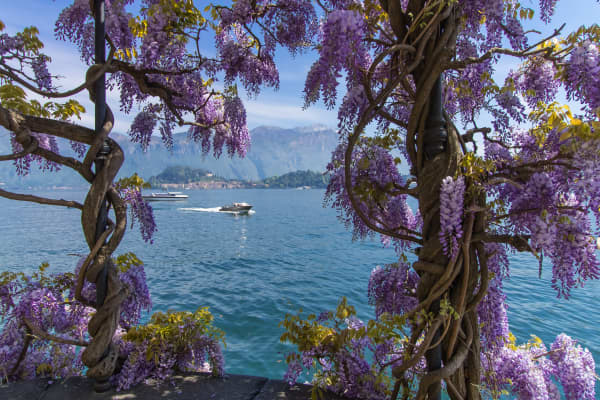Hotel Lumin,Cremia