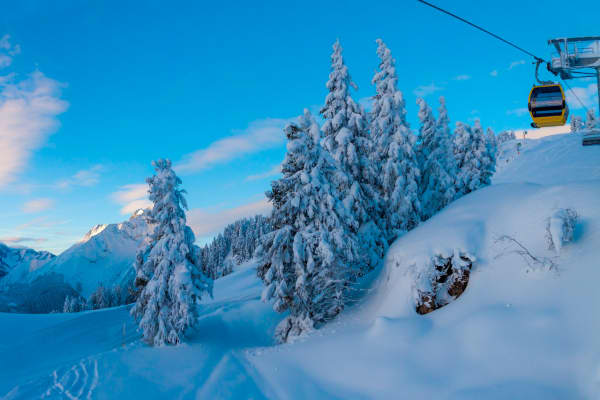 Hotel Zillertalerhof,Mayrhofen