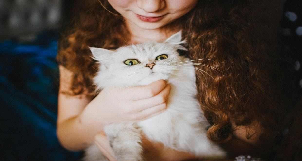 How having a cat improves your life