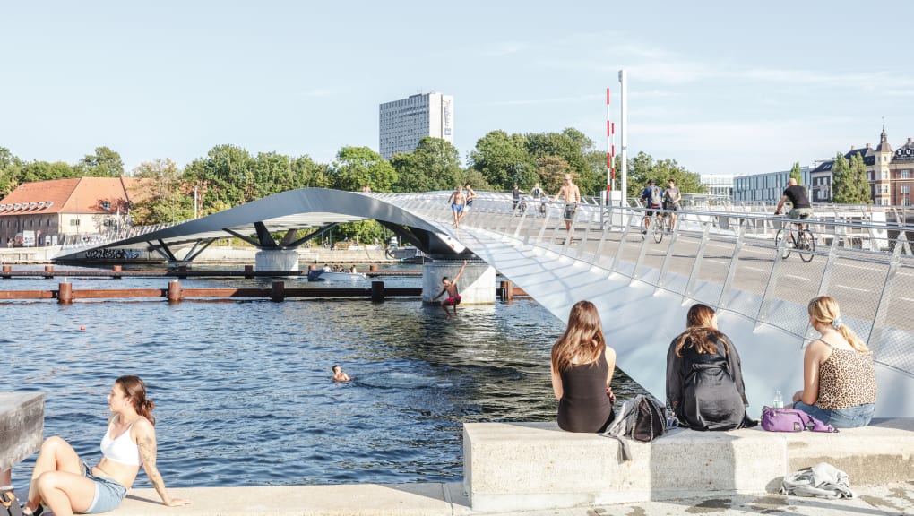 看着Lille Langebro桥的人们的白天时间景观