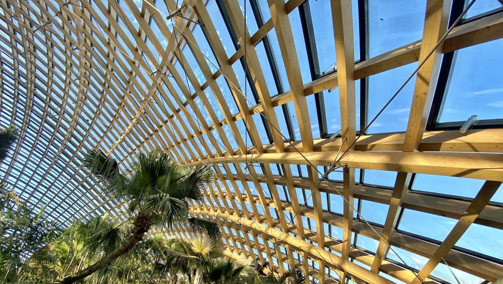 Interior view of trees and the roof inside one of the Taiyuan botanical garden domes