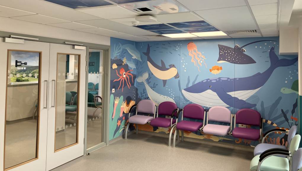 Completed project from inside a ward waiting room. Copyright: Curtins, 2025.