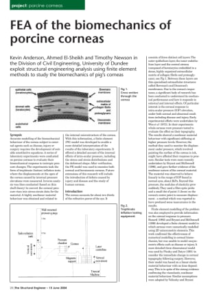 FEA of the biomechanics of porcine corneas