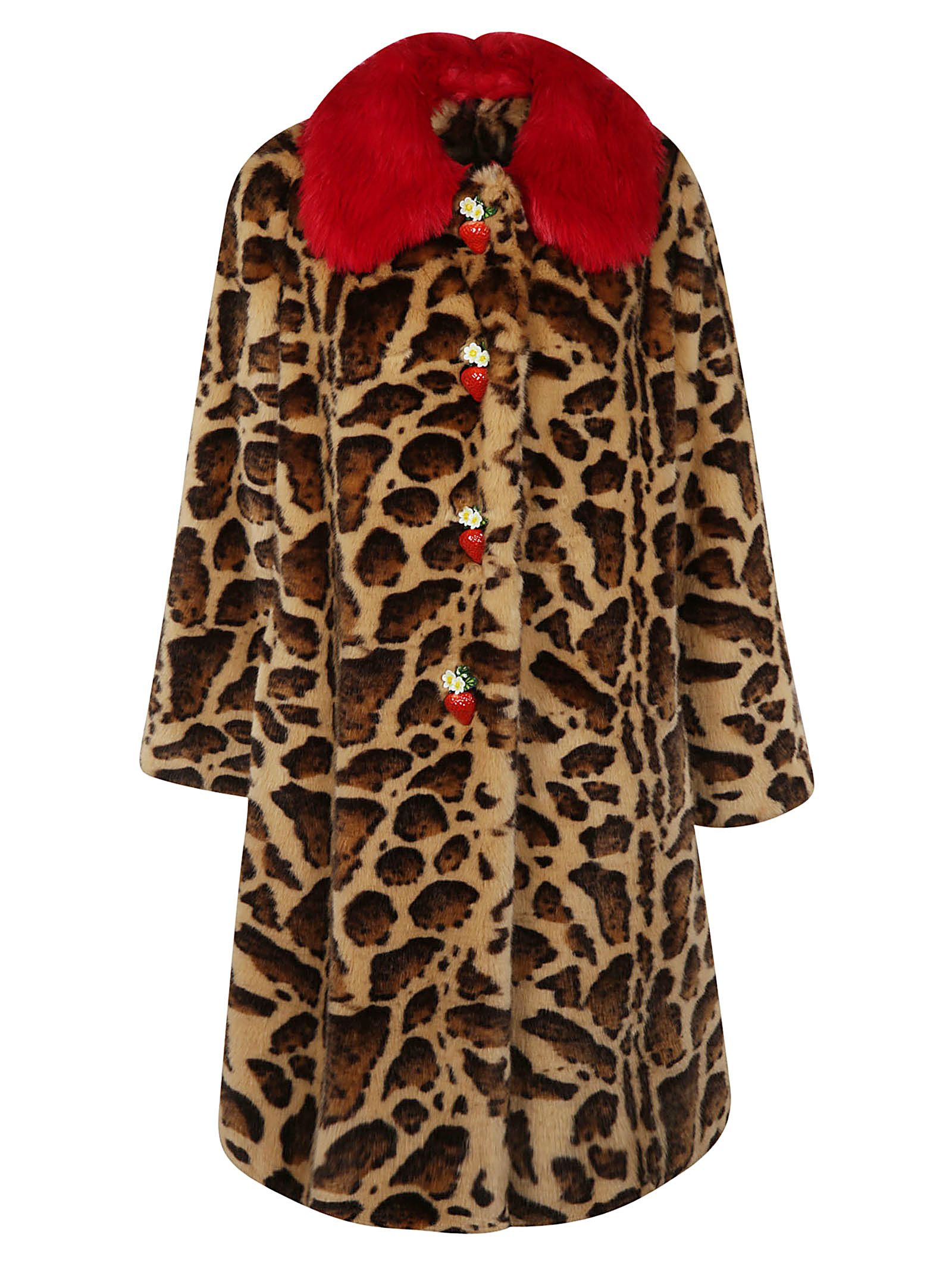 Dolce & Gabbana Leopard Print Coat - leopard print - 10676401 | italist