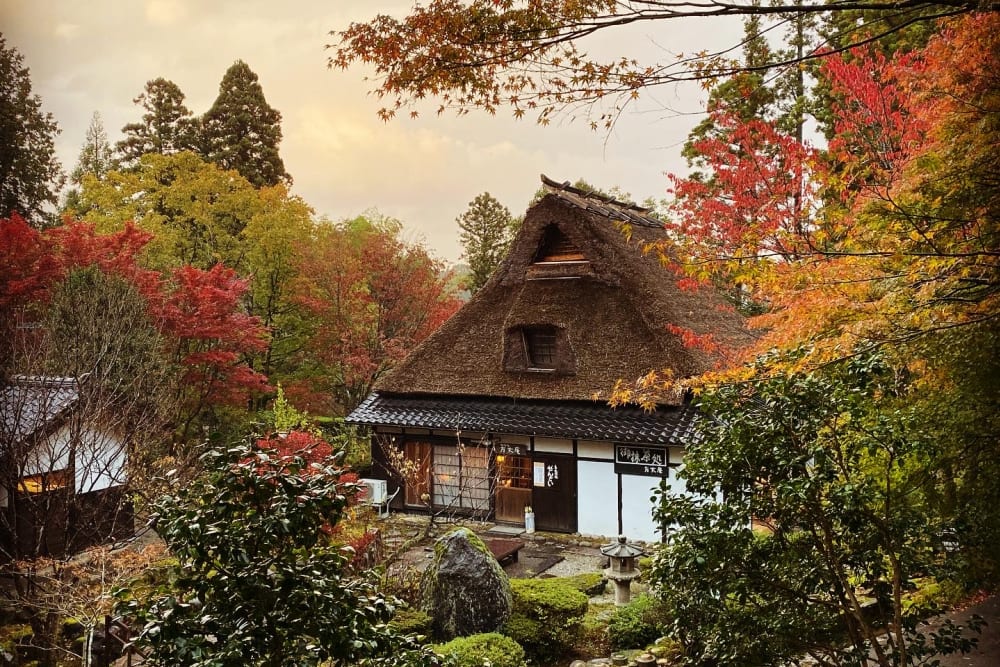 森林裡體驗加賀工藝| Experiences in Japan | Travel Japan