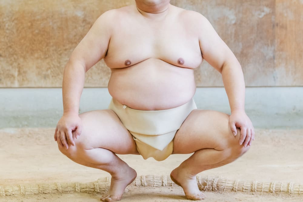 Sumo Japan – 日本の相撲スポーツを発見 | 日本への旅行
