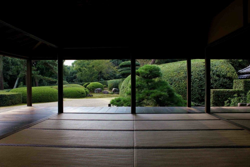 Things You May Wonder about the Ninja - Tea Ceremony Japan