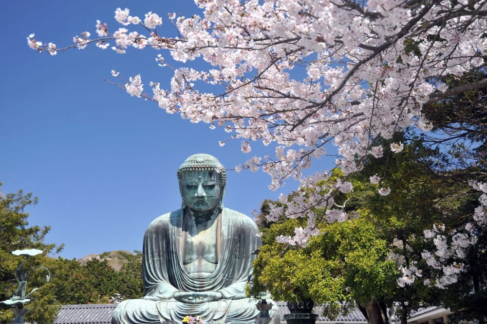 Itinerari di 1 giorni per Cultura sulla costa di Kamakura, Itineraries