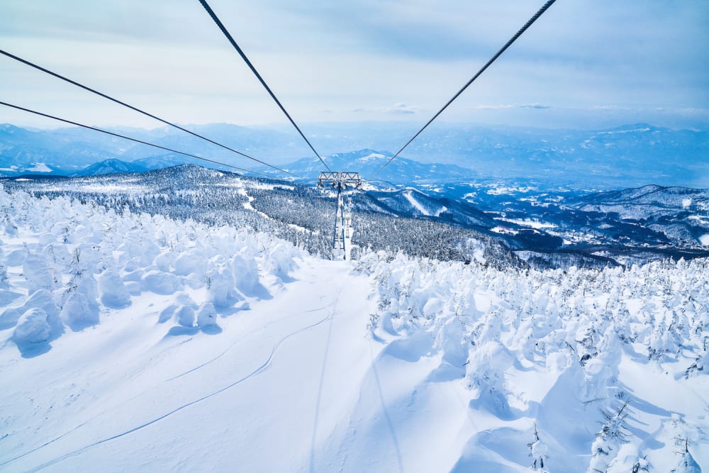 Zao Snow Monsters (Miyagi) | Travel Japan - Japan National