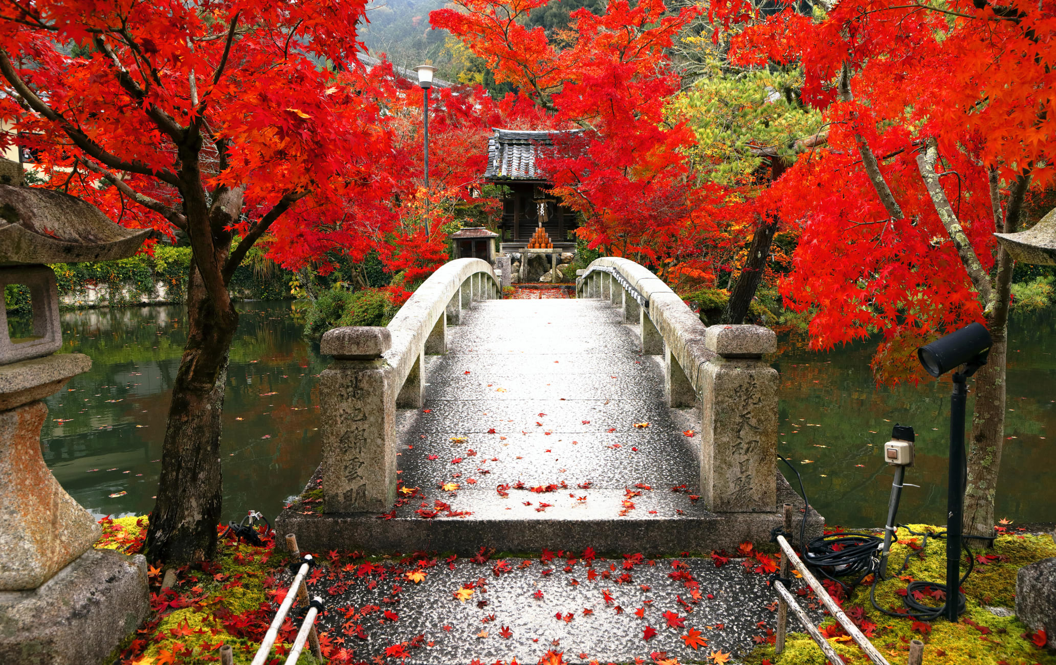 central kyoto