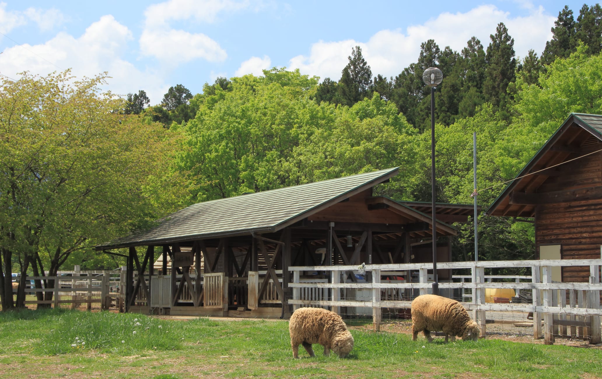 Chichibu Hitsujiyama Park